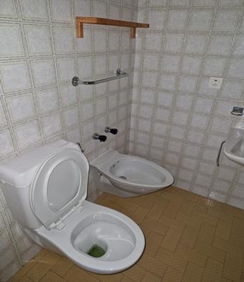 Bidet sospesi